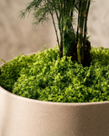 Premium Faux Coverage Moss