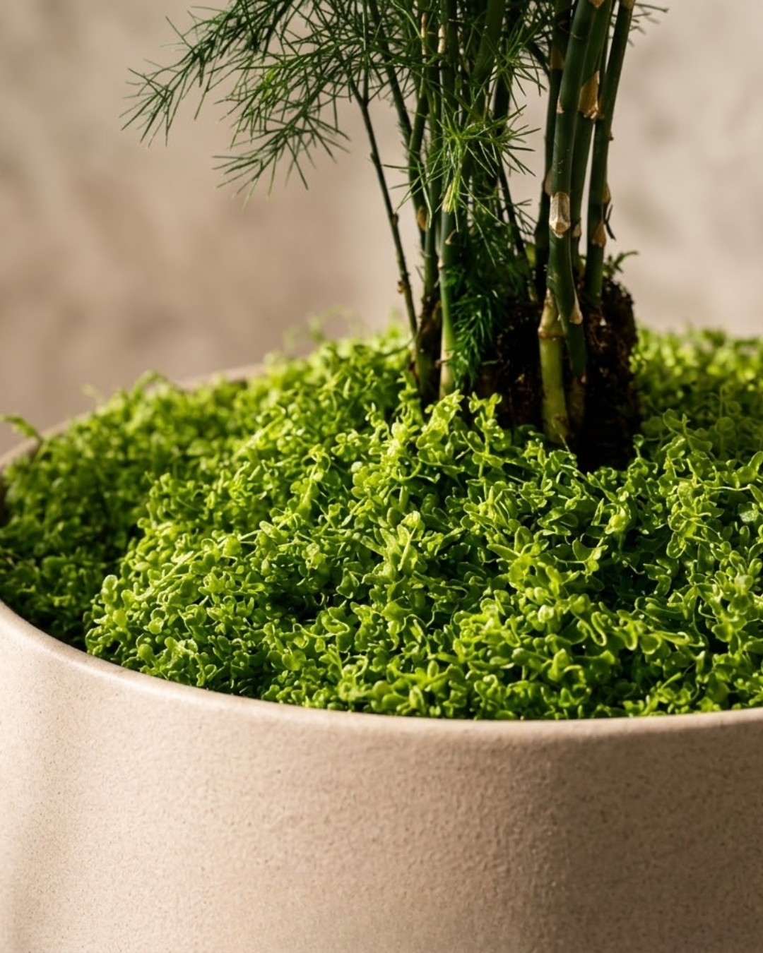 Premium Faux Coverage Moss