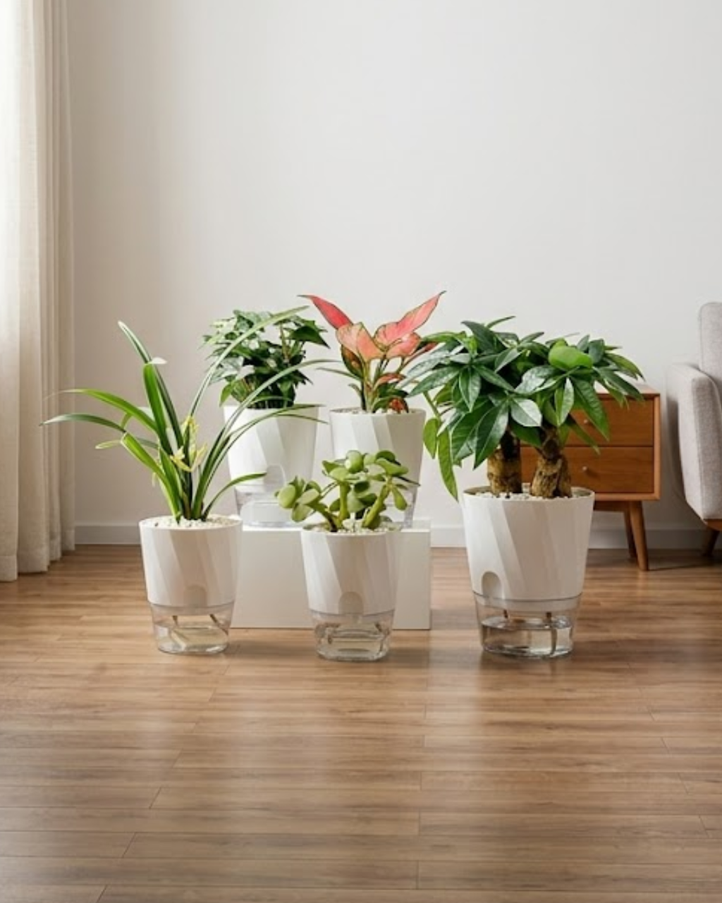 Self-Watering Planter