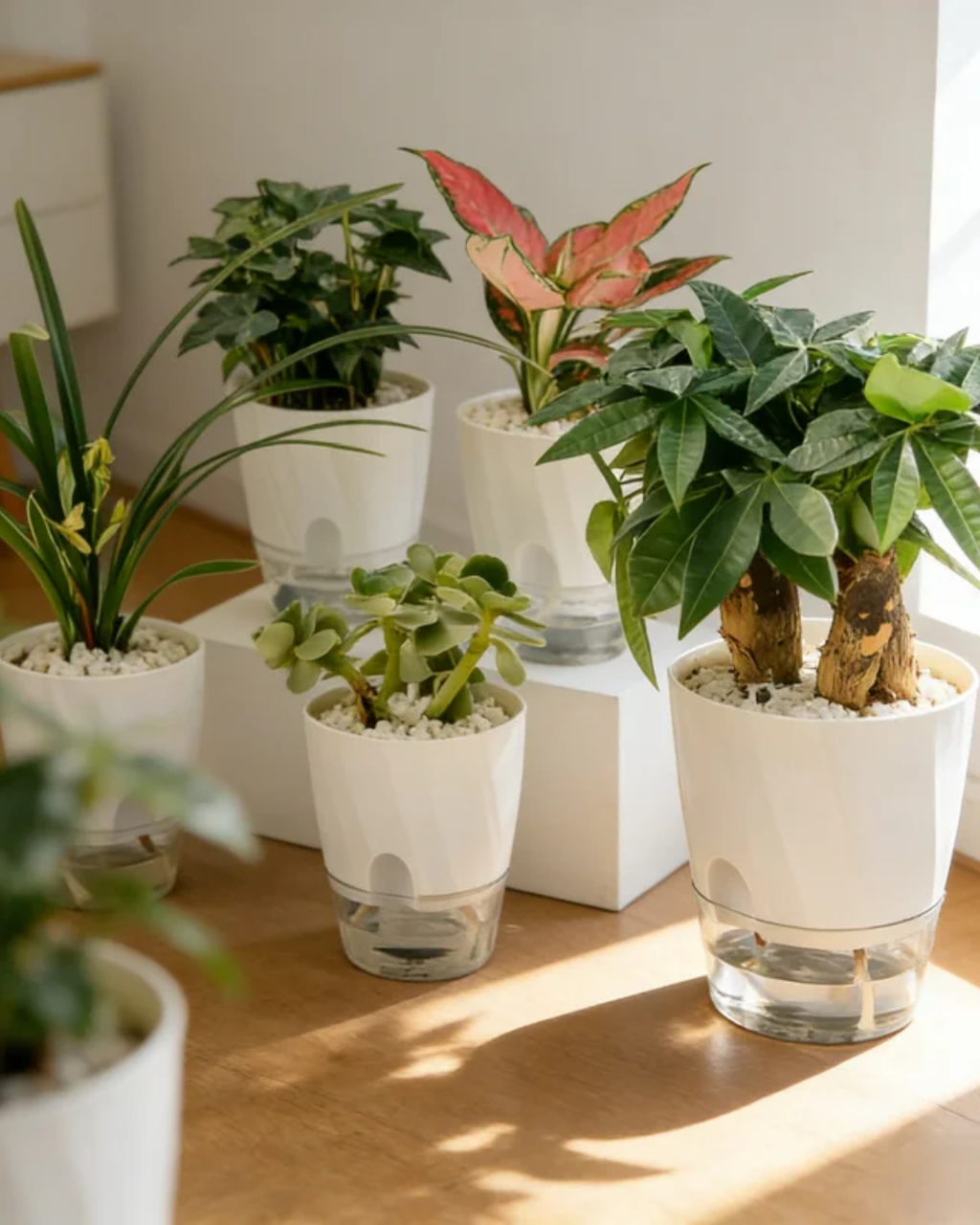 Self-Watering Planter
