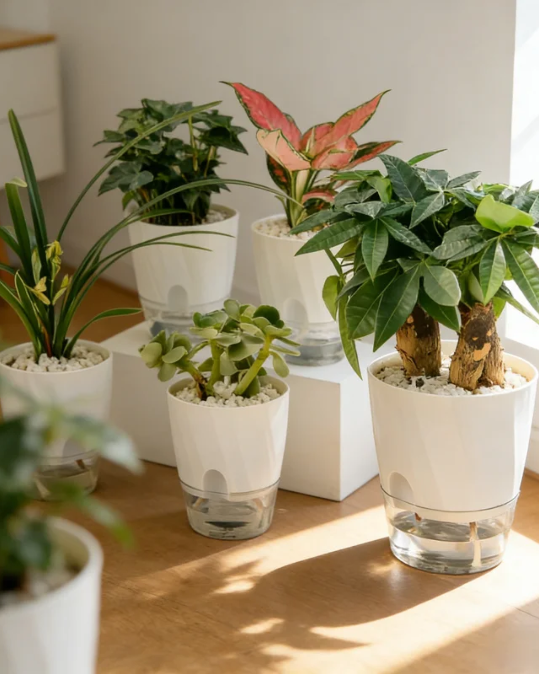 Self-Watering Planter