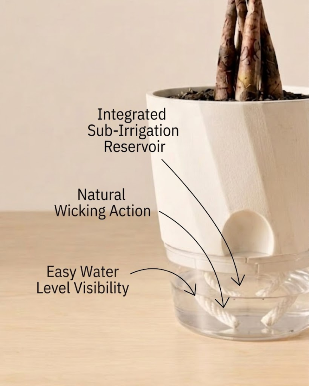 Self-Watering Planter