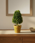Faux Mini Triangular Topiary